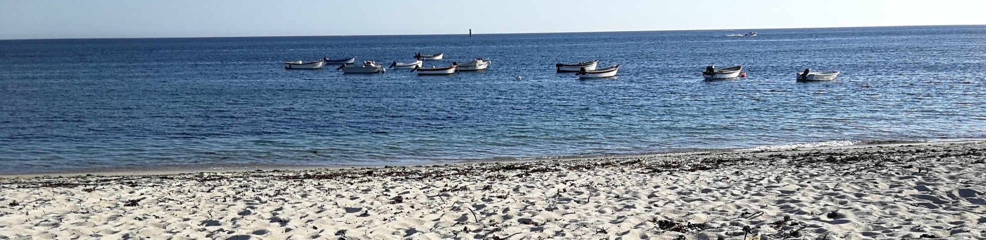 Liens amis de la mer, de la Bretagne et autres ami.e.s et partenaires