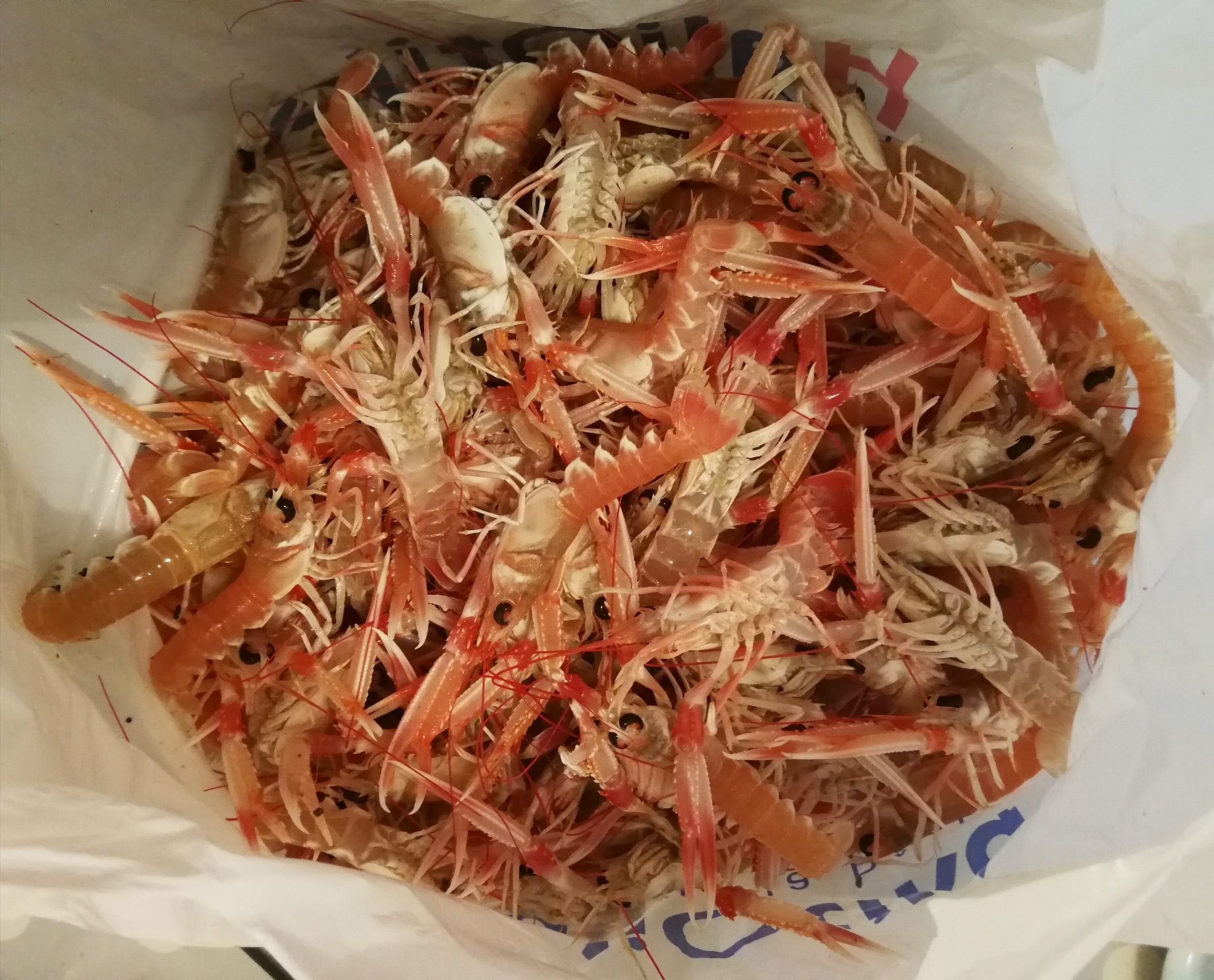 En Bretagne Chez Colette - Langoustines